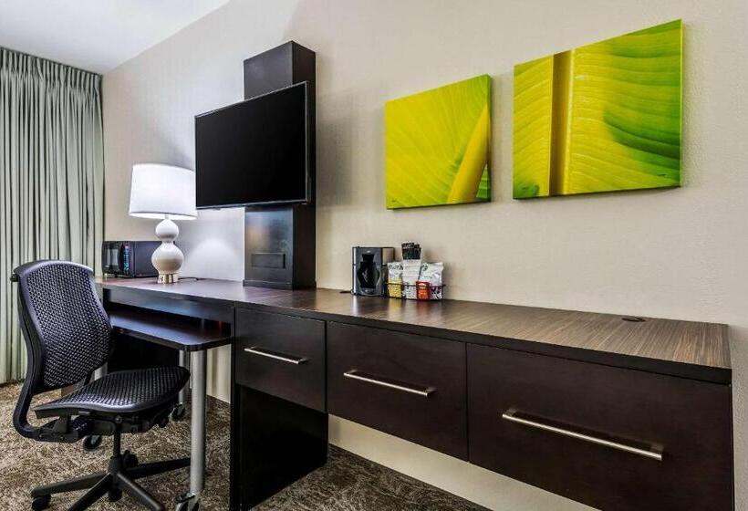 غرفة قياسية سرير كينج, Oasis Hotel & Conv. Center, Ascend Hotel Collection