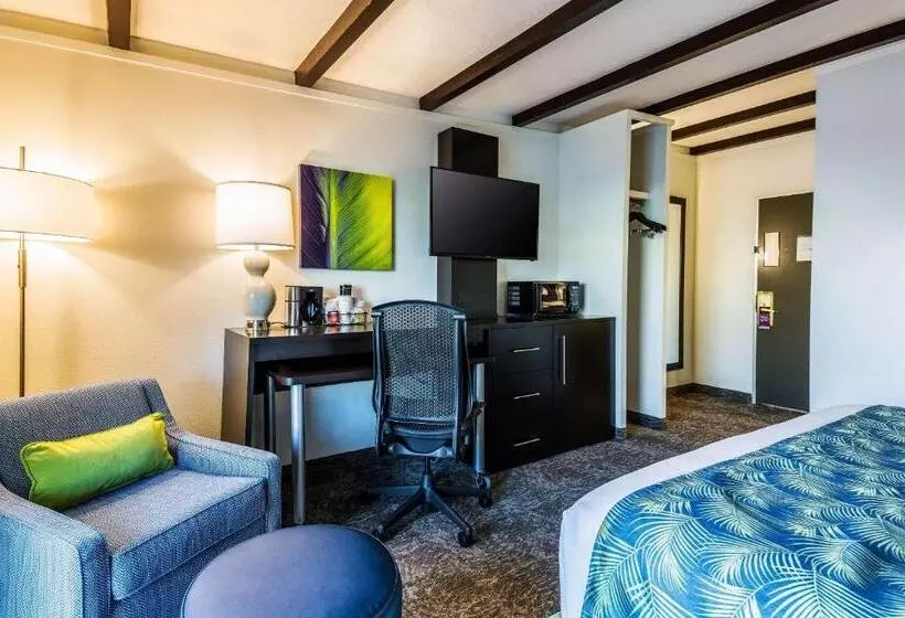 اتاق استاندارد با تخت بزرگ, Oasis Hotel & Conv. Center, Ascend Hotel Collection