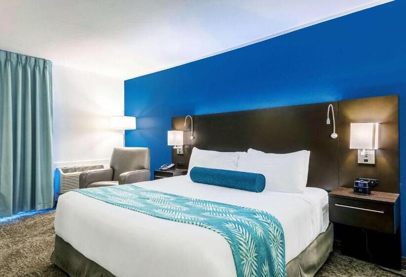 غرفة قياسية سرير كينج, Oasis Hotel & Conv. Center, Ascend Hotel Collection