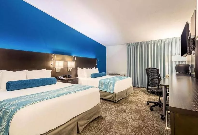 اتاق استاندارد, Oasis Hotel & Conv. Center, Ascend Hotel Collection