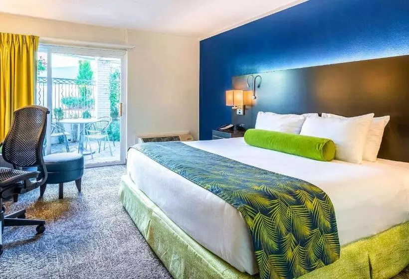 سوئیت برای معلولان, Oasis Hotel & Conv. Center, Ascend Hotel Collection