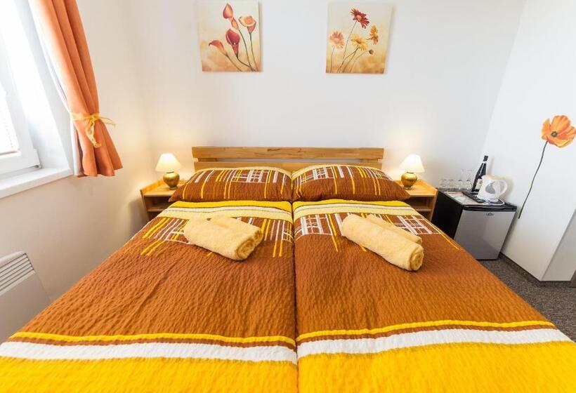 Camera Standard, Penzion Top