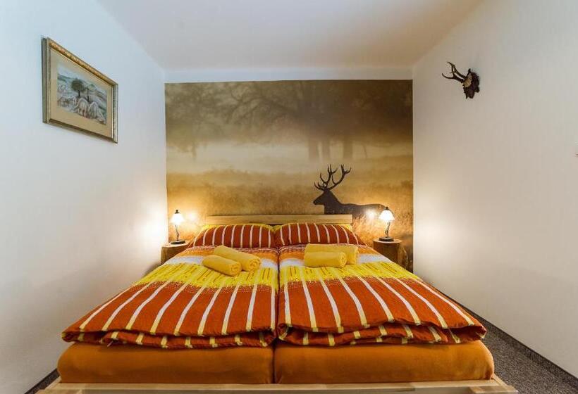 Camera Standard con Terrazza, Penzion Top