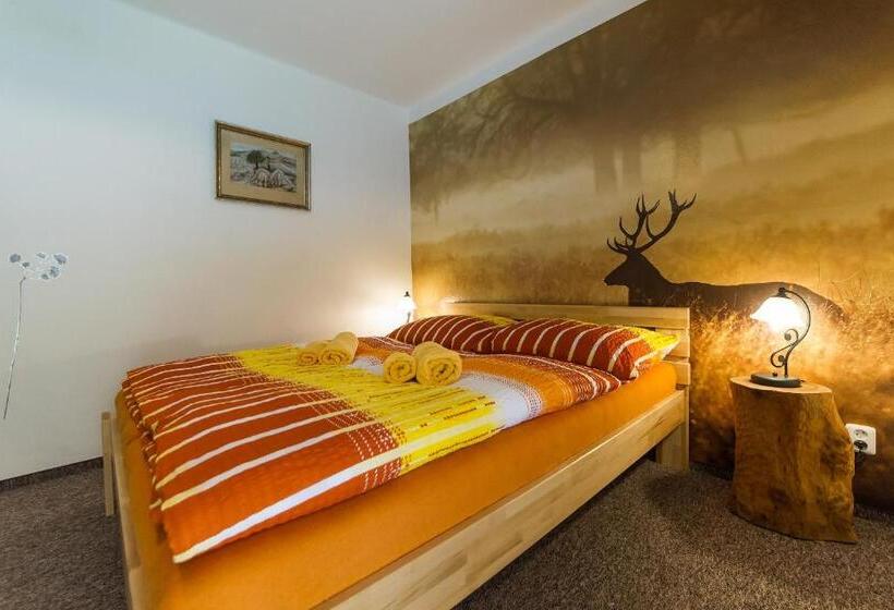 Habitación Estándar con Terraza, Penzion Top