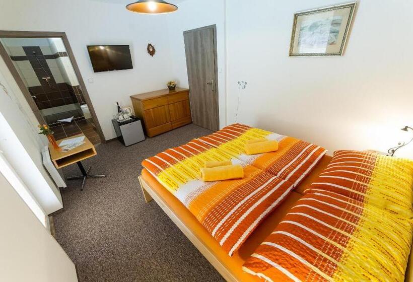 חדר סטנדרט עם טרסה, Penzion Top