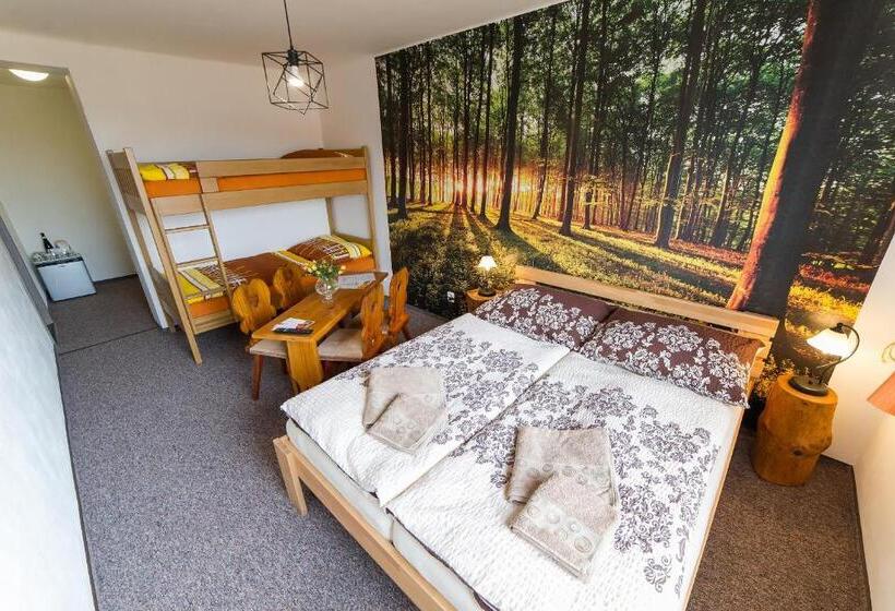 Camera Quadrupla Standard, Penzion Top