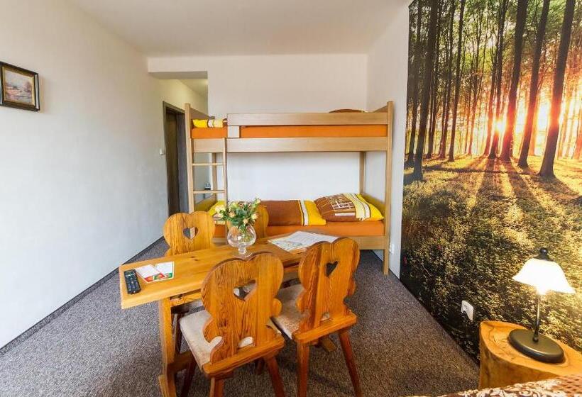 Camera Quadrupla Standard, Penzion Top