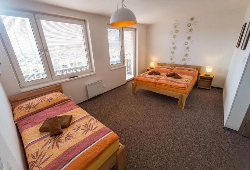 דירת שני חדרים, Penzion Top