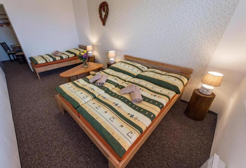 חדר סטנדרט לשלושה, Penzion Top