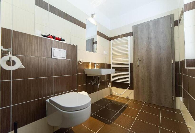 חדר סטנדרט עם טרסה, Penzion Top