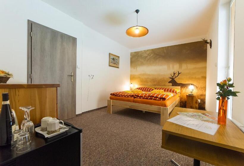 חדר סטנדרט עם טרסה, Penzion Top