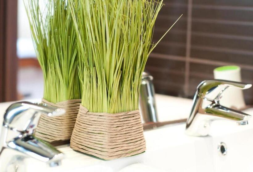 패밀리 스튜디오, Vila Alma