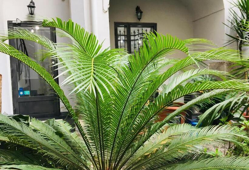 اتاق لوکس با بالکن, B&b Fiumara