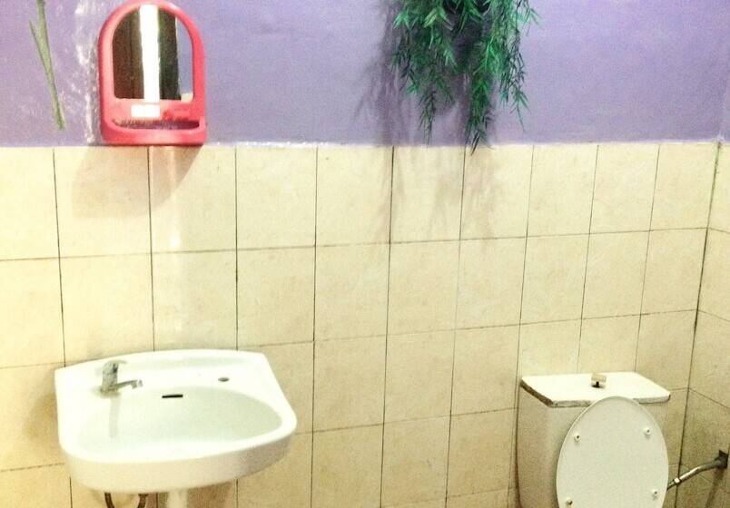 اتاق استاندارد, Wonderland