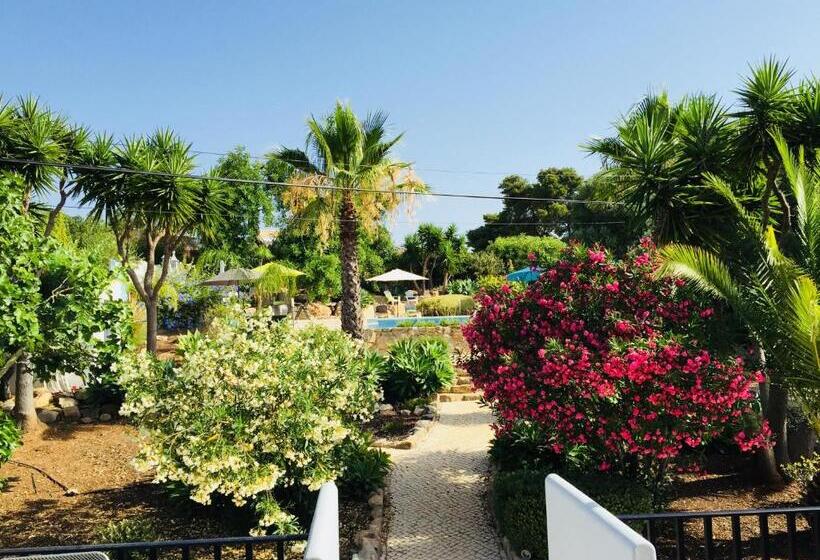 Студия Стандарт, Casa Verdazul