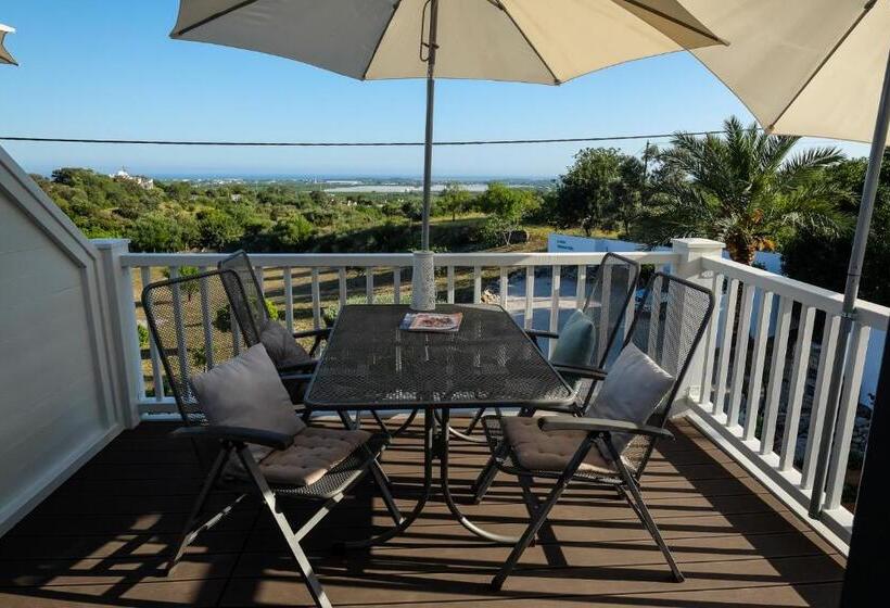 Студия Стандарт, Casa Verdazul