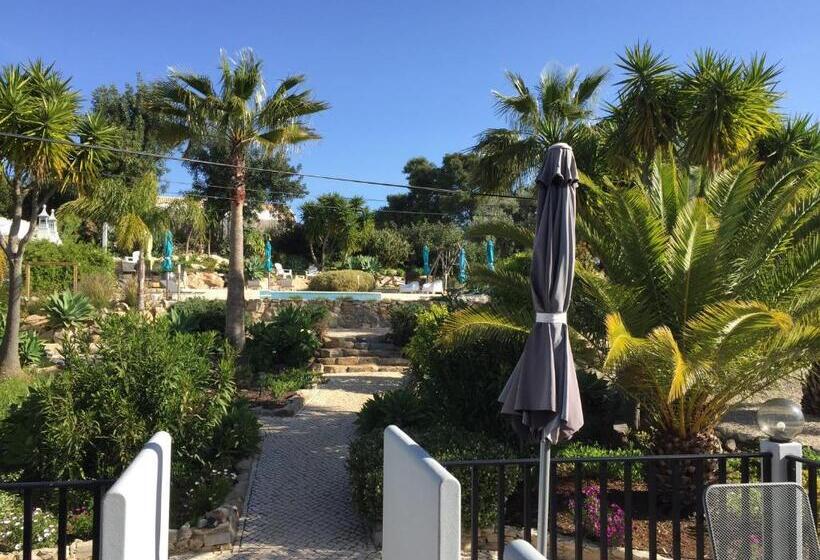 Студия Стандарт, Casa Verdazul