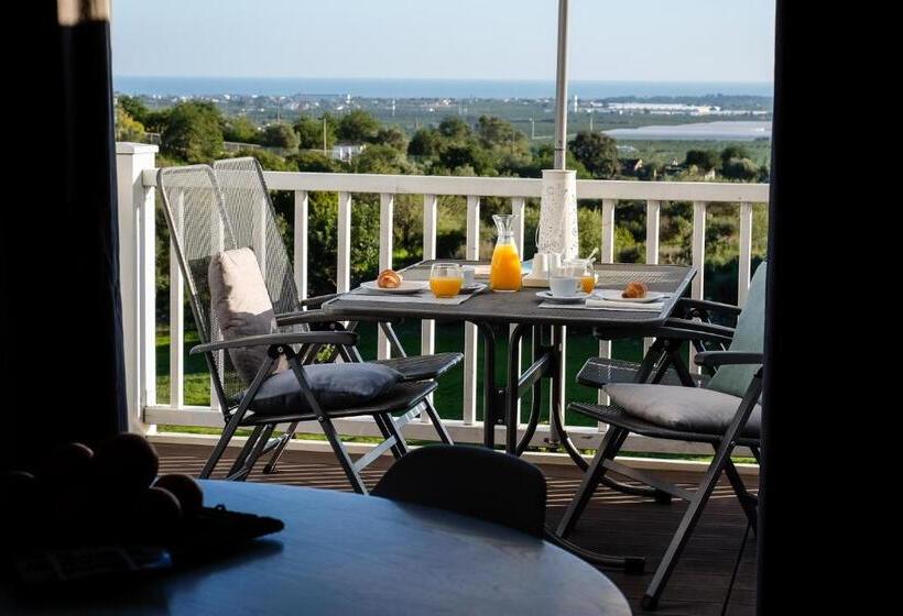 Студия Стандарт, Casa Verdazul