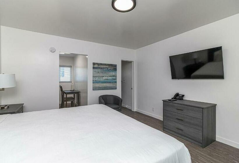 Студия Deluxe, 2021 Olive