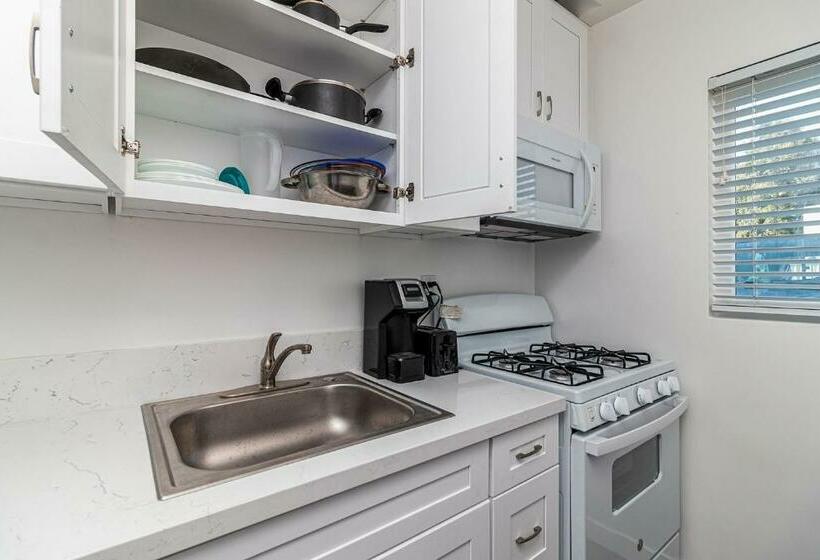 Студия Deluxe, 2021 Olive