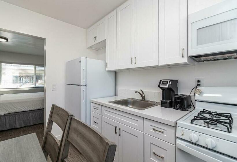 Студия Deluxe, 2021 Olive