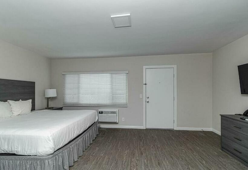 Студия Deluxe, 2021 Olive