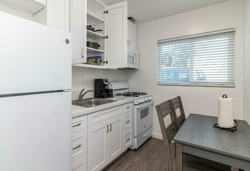 Студия Deluxe, 2021 Olive