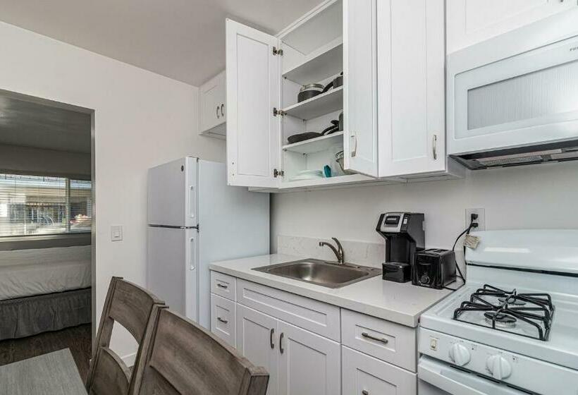 Студия Deluxe, 2021 Olive