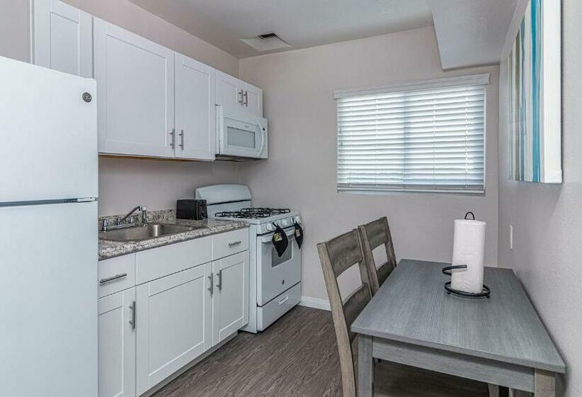 Студия Deluxe, 2021 Olive