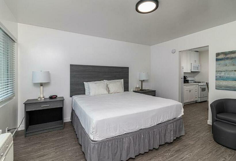 Студия Deluxe, 2021 Olive