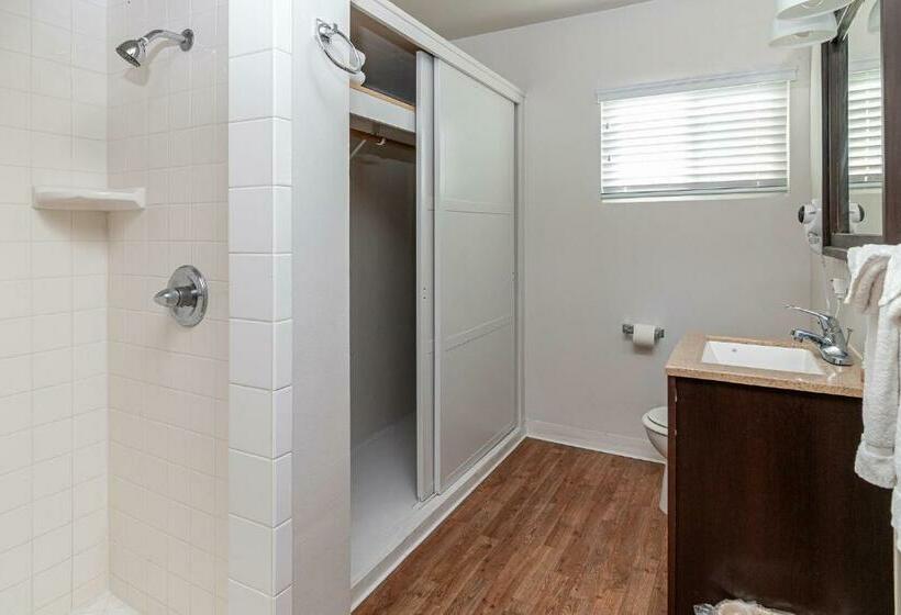 Студия Стандарт, 2021 Olive