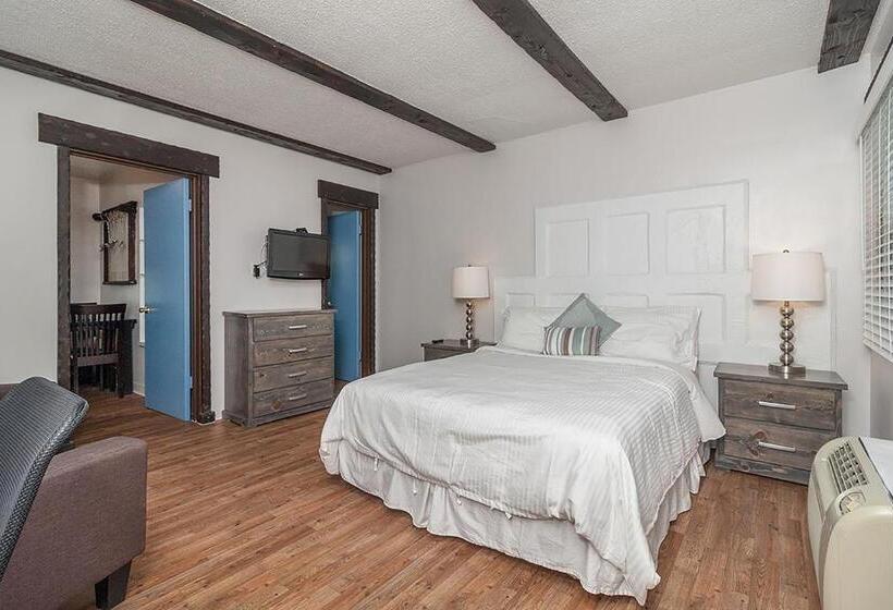 Студия Стандарт, 2021 Olive