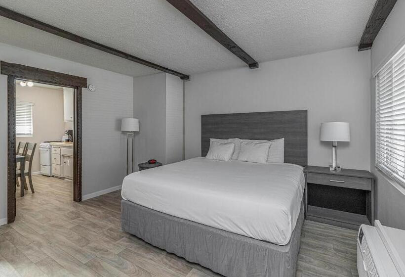 Студия Deluxe, 2021 Olive