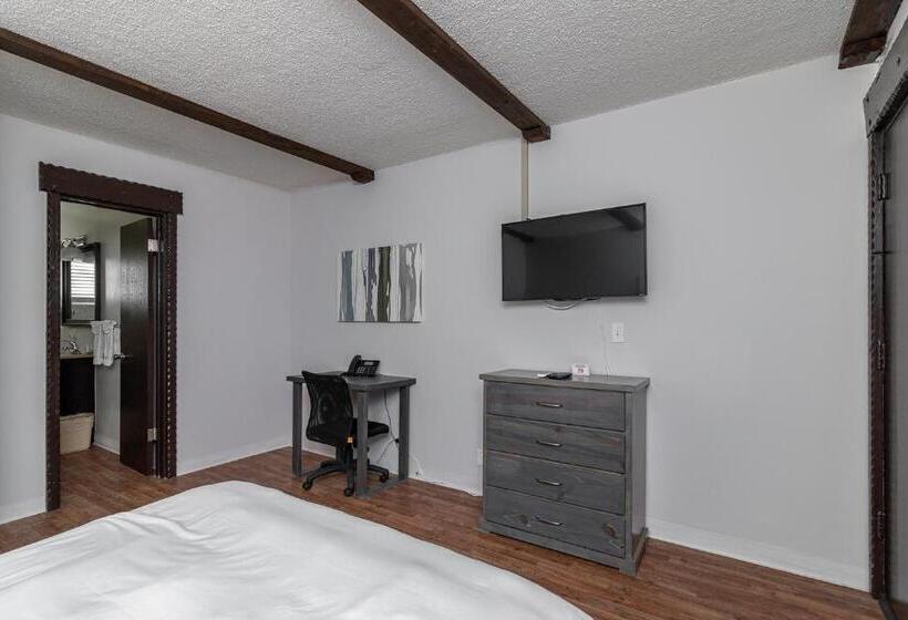 Студия Стандарт, 2021 Olive