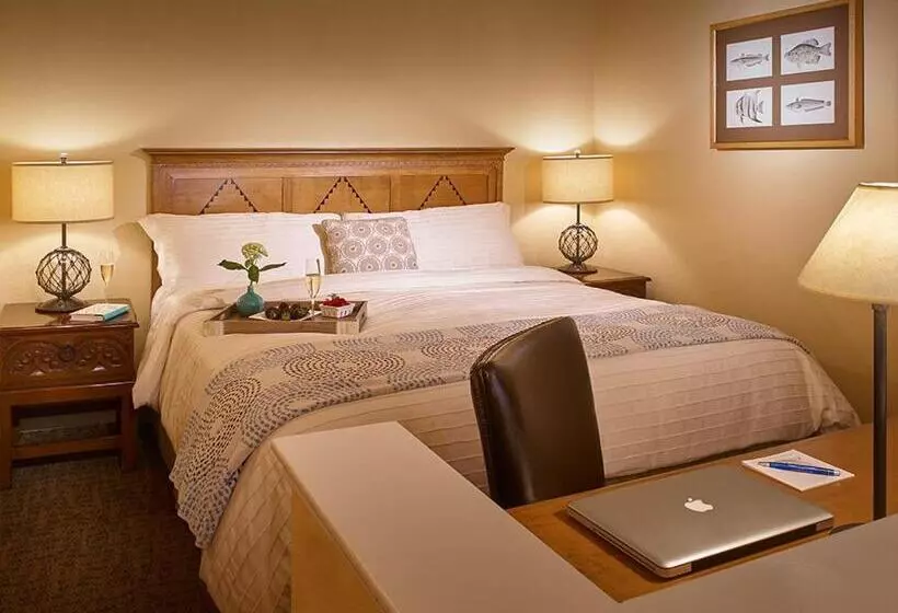 سوئیت پنت هاوس, Beach House Half Moon Bay