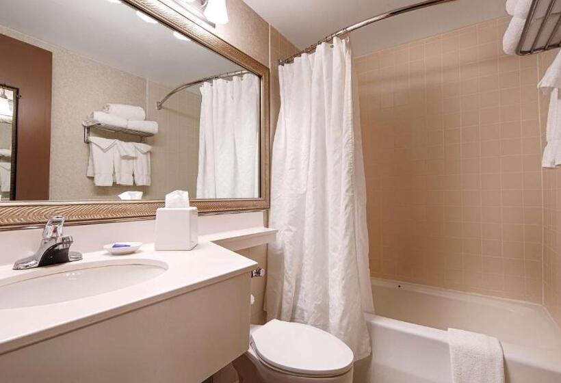 غرفه قياسيه سريرين مزدوجين, Best Western Plus Chelmsford Inn