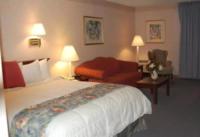 身障者適用キングサイズベッドルーム, Best Western Plus Chelmsford Inn
