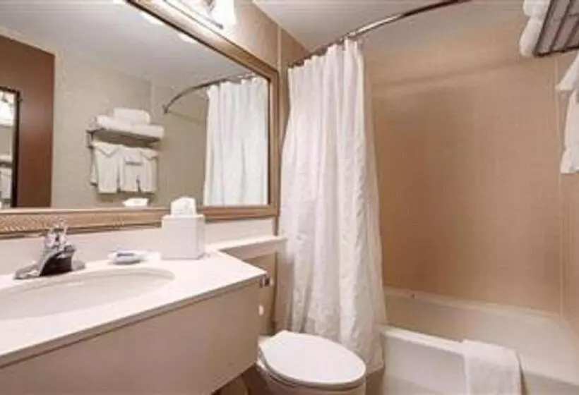 キングサイズベッドのスタンダードルーム, Best Western Plus Chelmsford Inn
