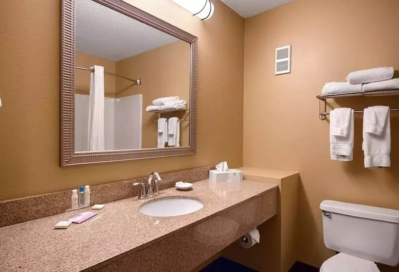 ２ダブルベッドのスタンダードルーム, Best Western Plus Executive Inn
