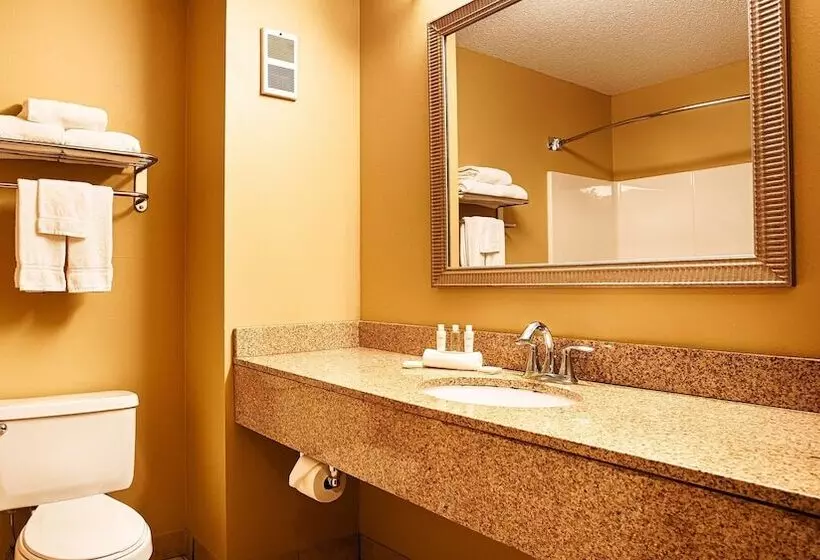 ２ダブルベッドのスタンダードルーム, Best Western Plus Executive Inn