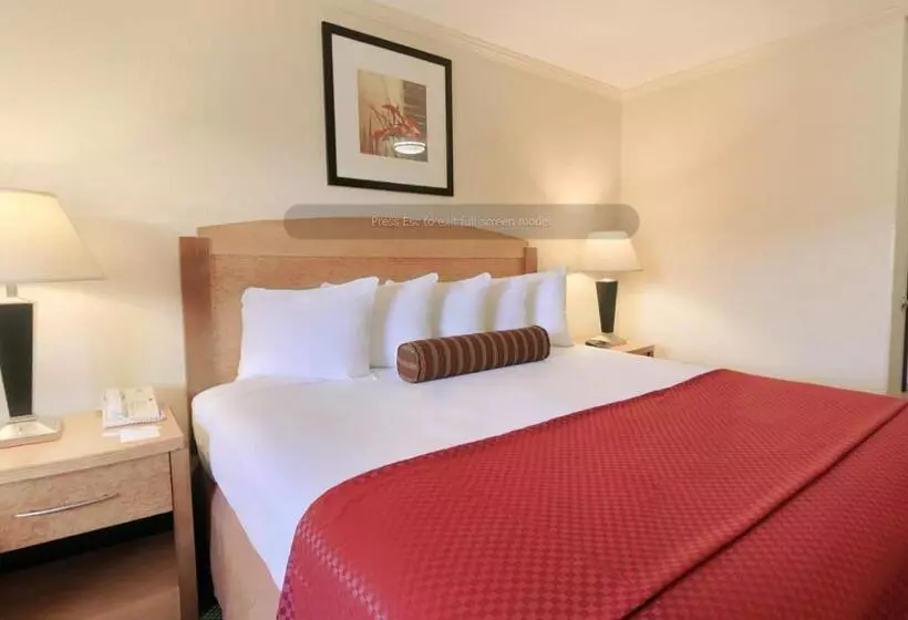 اتاق استاندارد با تخت بزرگ, Best Western Plus Ontario Airport & Convention Center
