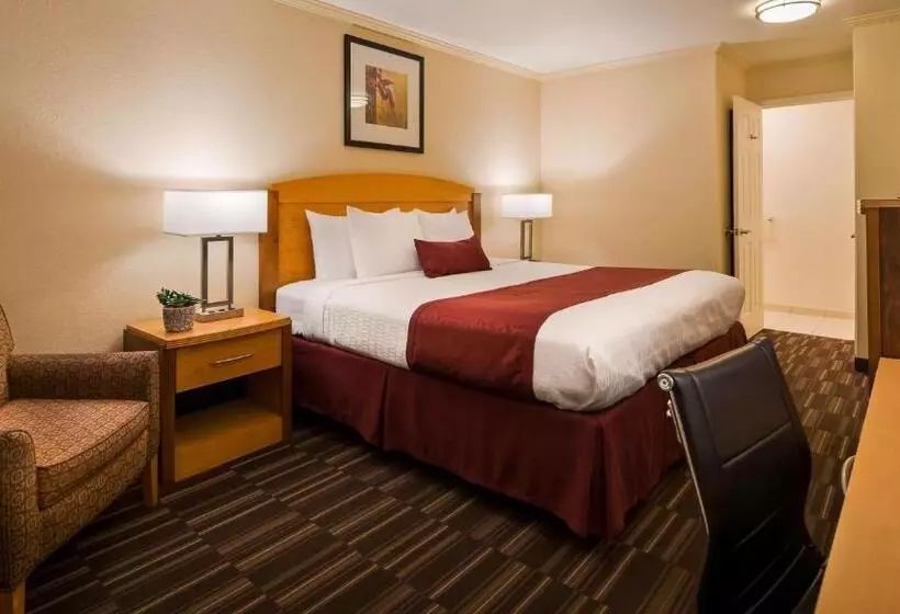 اتاق استاندارد با تخت بزرگ, Best Western Plus Ontario Airport & Convention Center