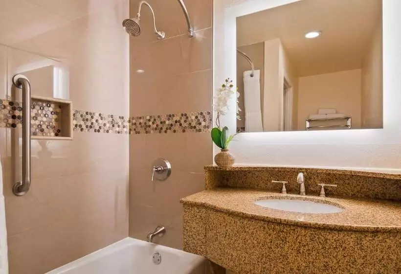 اتاق استاندارد با تخت بزرگ, Best Western Plus Ontario Airport & Convention Center