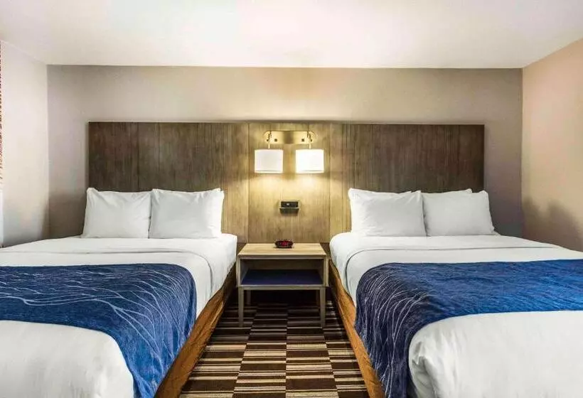 Standard-huone, Comfort Inn Airport