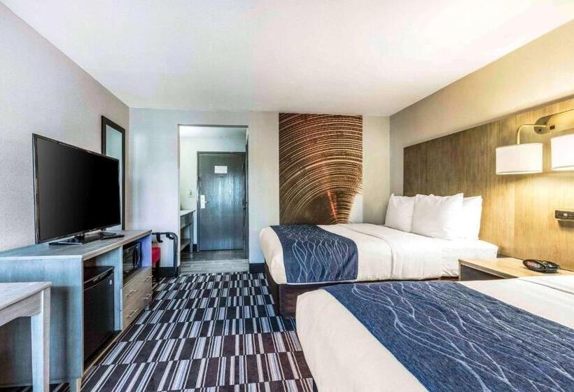 Camera Standard, Comfort Inn Airport