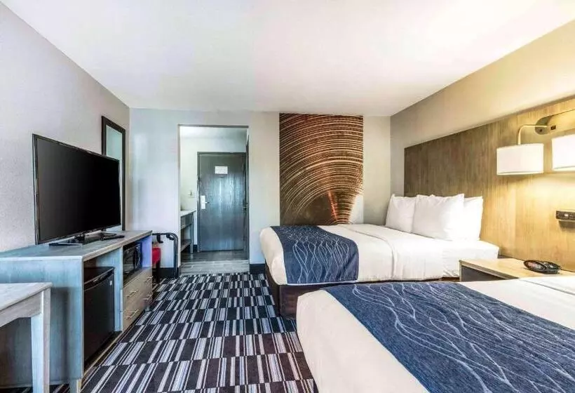 Standard-huone, Comfort Inn Airport