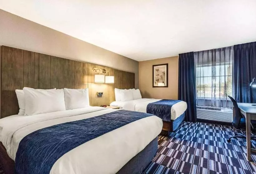 Standard-huone, Comfort Inn Airport