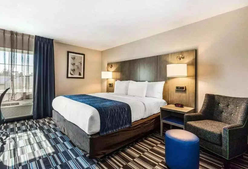 Standard-huone King-vuode, Comfort Inn Airport