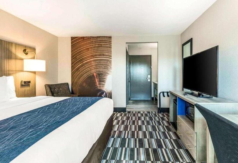 带大床的标准间, Comfort Inn Airport