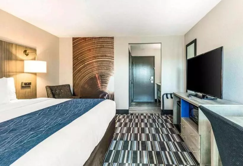 Standard-huone King-vuode, Comfort Inn Airport